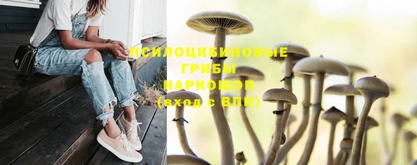 сатива Кадников