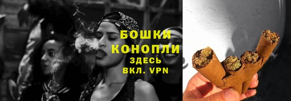 крисы Елизово