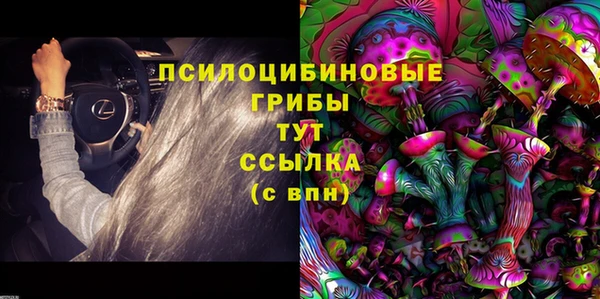 ALPHA PVP Ельня