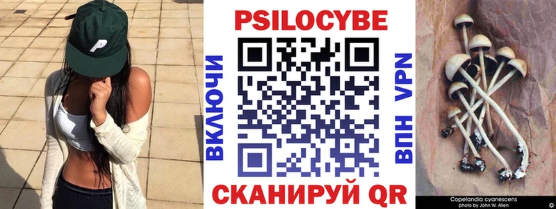 blacksprut маркетплейс Кимовск Псилоцибиновые грибы мицелий где найти