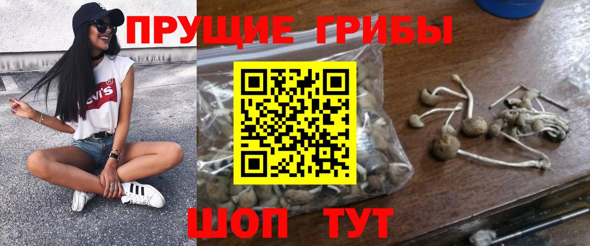 Галлюциногенные грибы мухоморы  Вход с VPN  Псилоцибиновые грибы MAGIC MUSHROOMS  Кимовск 