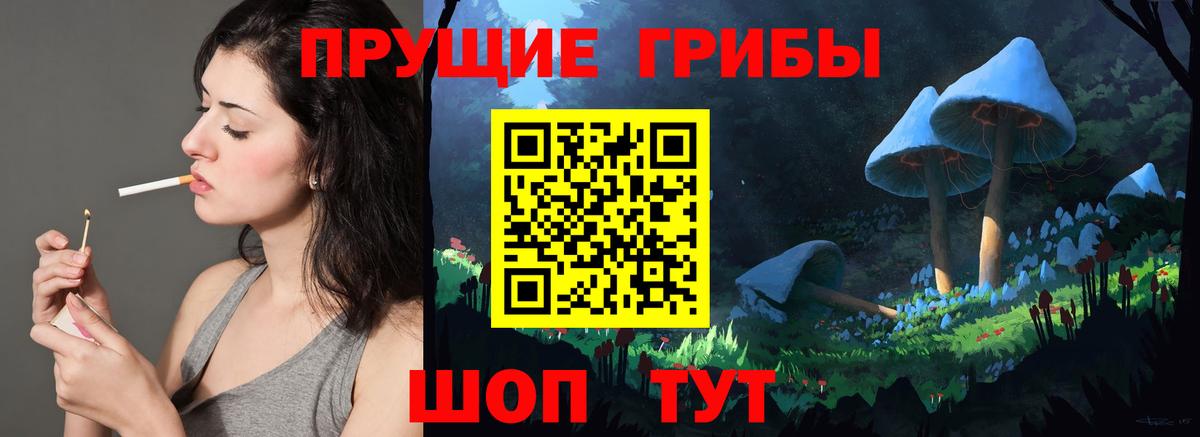 Псилоцибиновые грибы Psilocybine cubensis Кимовск
